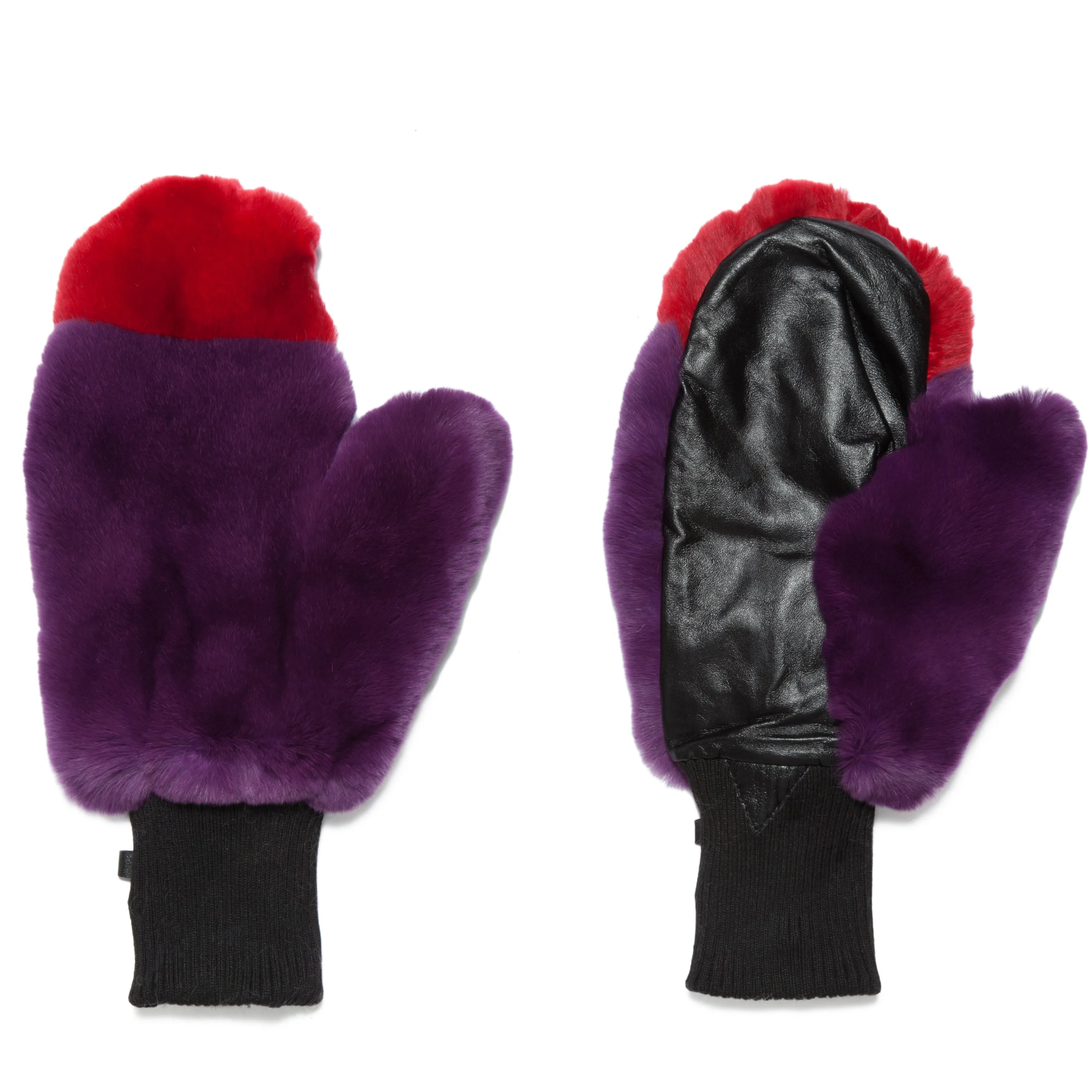 Rex Mitten Assorted Colorblock