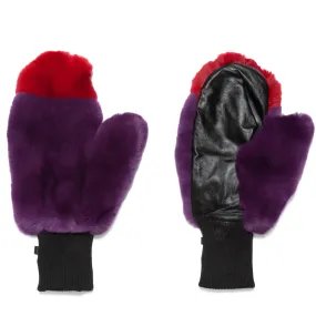 Rex Mitten Assorted Colorblock